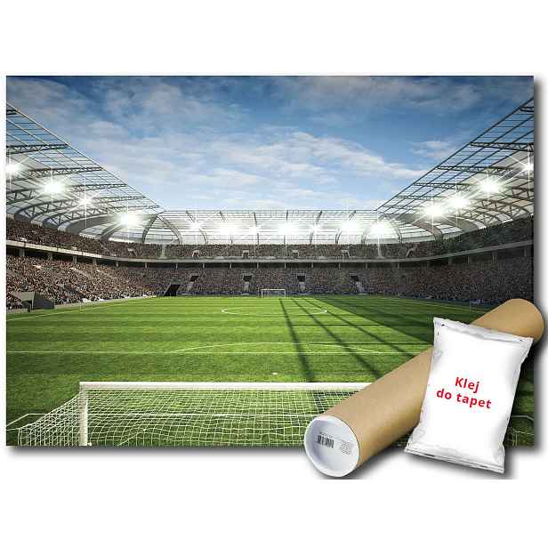 Fototapeta Flizelina Míč Stadion Hřiště 254x184