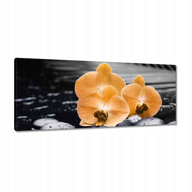 Obrazy 100x40 Oranžové orchideje
