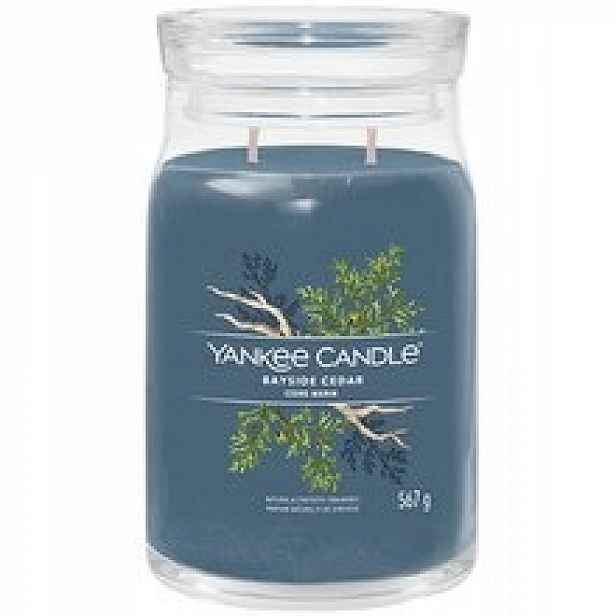 Yankee Candle Bayside Cedar Signature Svíčka 368,0 g