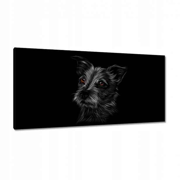Obrazy 115x55 Černý pejsek