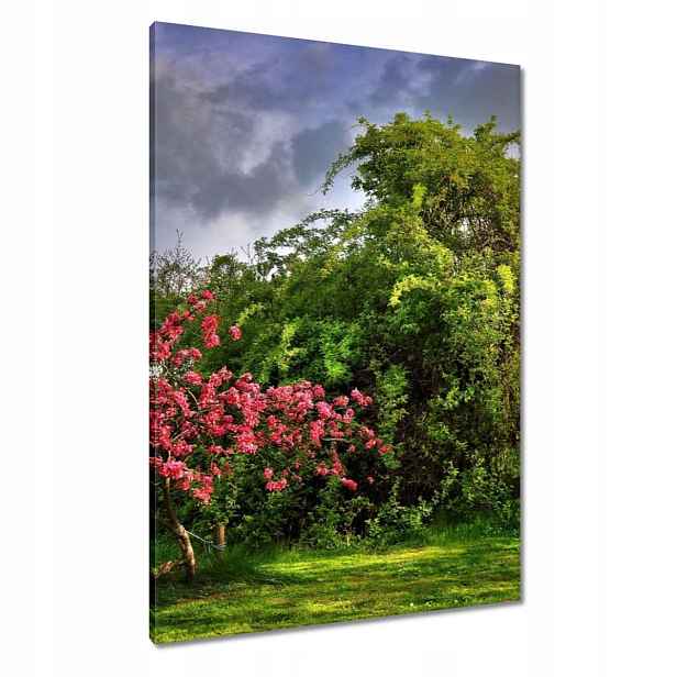 Obrazy 70x100 Krajina