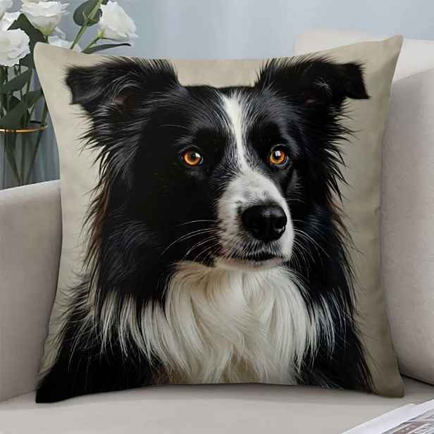 TEMU 1ks Povlak na polštář s psa Border Collie vhodný na pohovku a postel - 17,7x17,7 palců plyšový povlak na polštář se zipem, pratelný v pračce,
