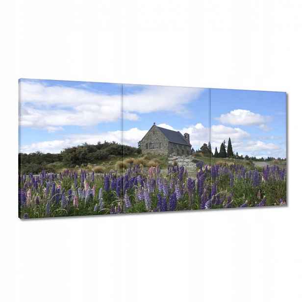 Obrazy 120x60 Fialové květiny Kopec
