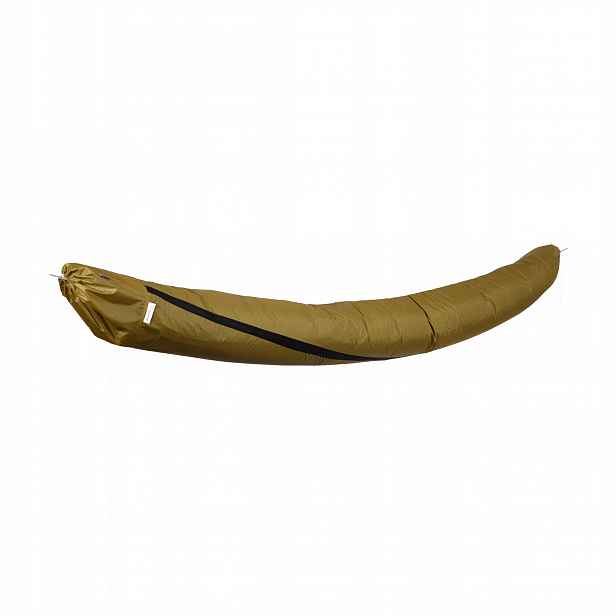 Obal Lesovik Larva disa pear