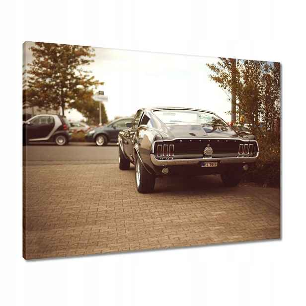 Obrázky 80x60 Ford Mustang Černobílé
