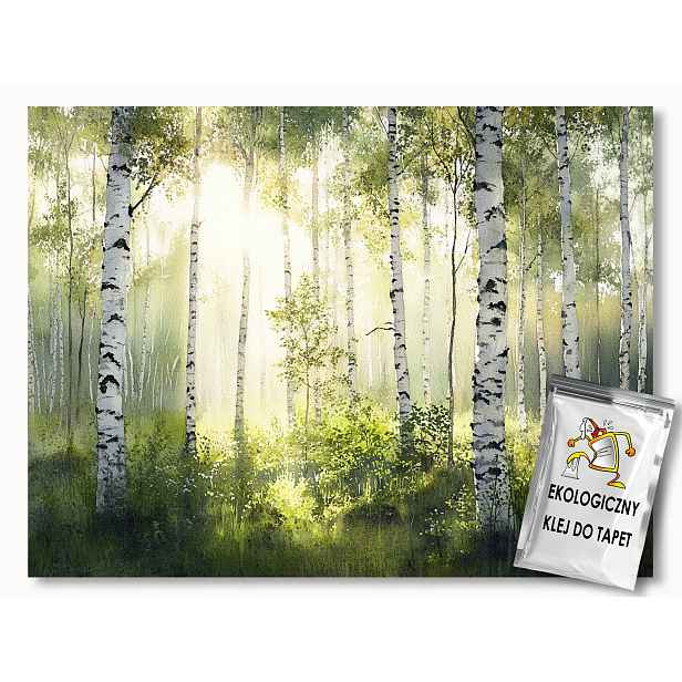 Fototapeta Flizelina Krajina Les Park Zagajnik Dřevo Bříza 208x146 130g