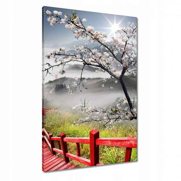 Obrazy 60x90 Červený most v Japonsku