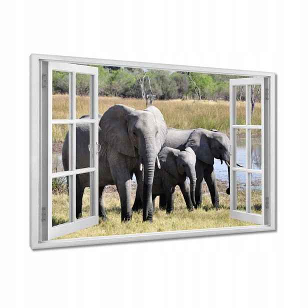 Obrazy 90x60 Rodina slonů