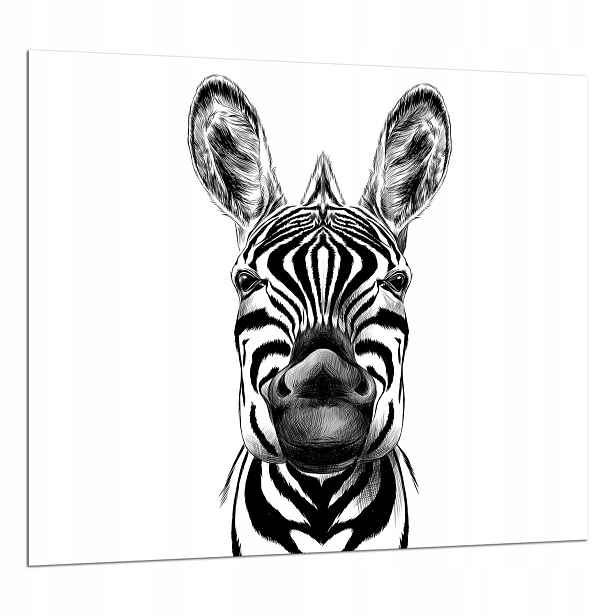 7v1 Skleněná Deska Ochranná Deska 65x60 Zebra