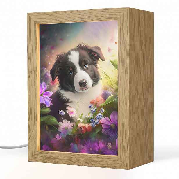 OnlyWow NOČNÍ LAMPIČKA Štěně - Slunce - Květiny - Příroda - Border kolie - Pes 15x20 cm