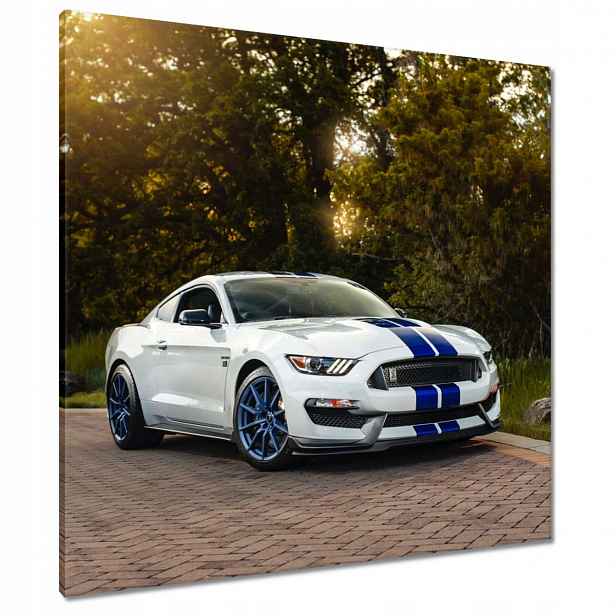 Obrazy 80x80 Ford Mustang Auto Usa