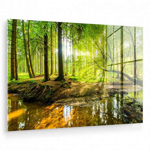 MuchoWow OBRAZ NA AKRYLOVÉM SKLE Les - Krajina - Voda - Stromy - Slunce - Zeleň - Příroda 90x60 cm