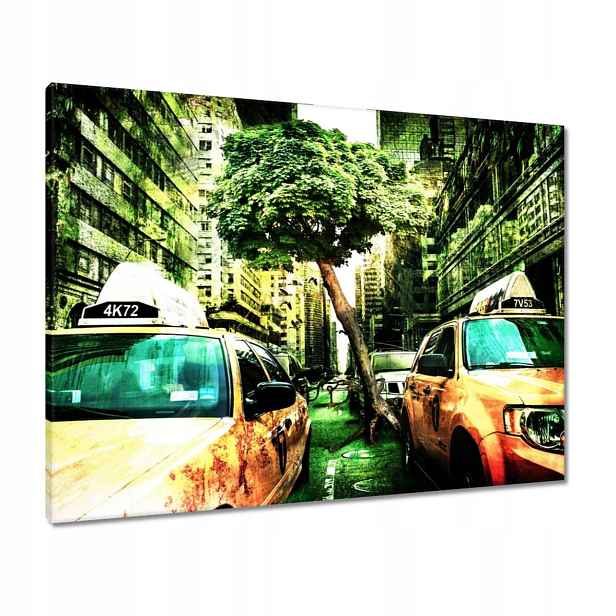Obrazy 80x60 Zelený New York