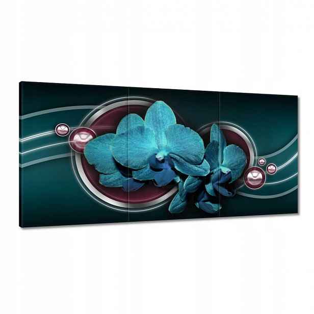 Obrazy 120x60 Modrý orchidej