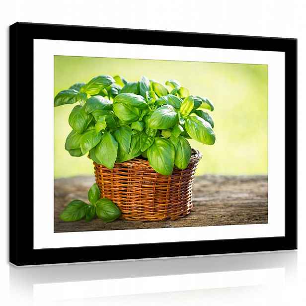 Obraz Na Plátně Canvas 80x60 Bylinky Bazalka Koš