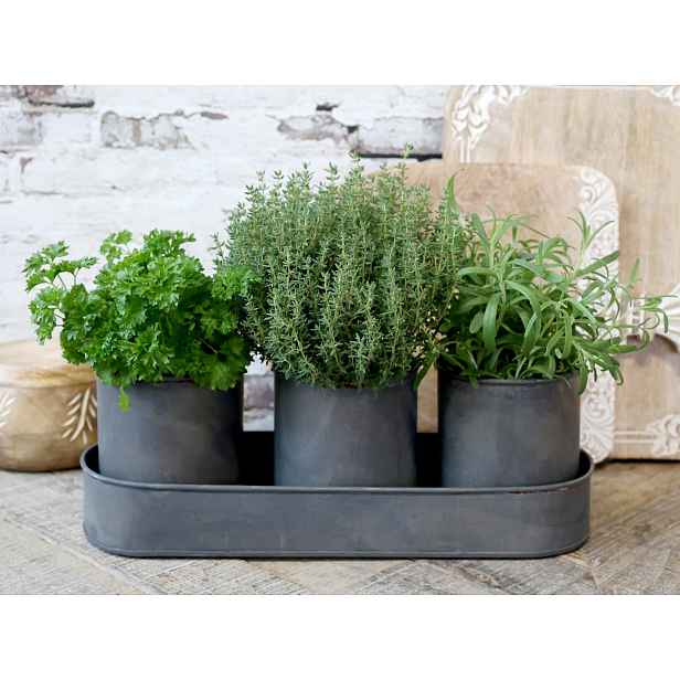 Set 3ks plechový obal na květináč s táckem Palli - Ø 10*12/ 36*12*5,5 cm Chic Antique