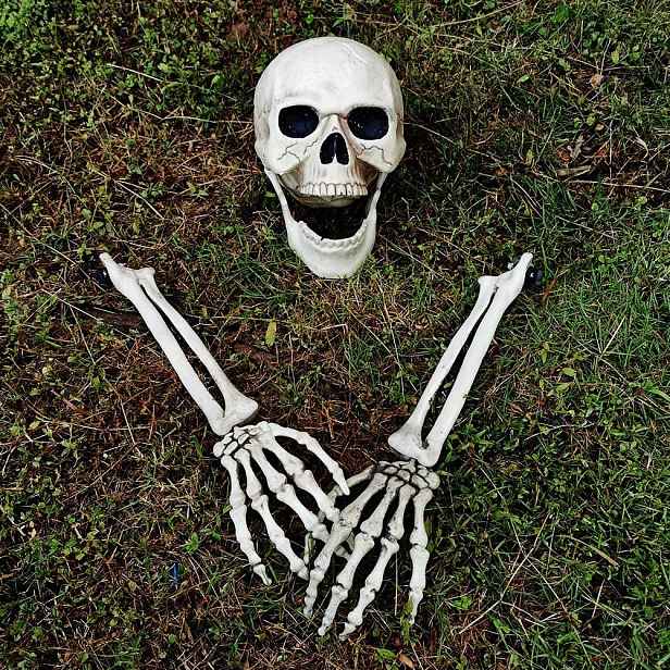 Kostra Člověka Umělý Kostlivec Zakopaný Dekorace Na Halloween