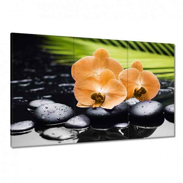 Obrazy 120x80 Oranžové orchideje