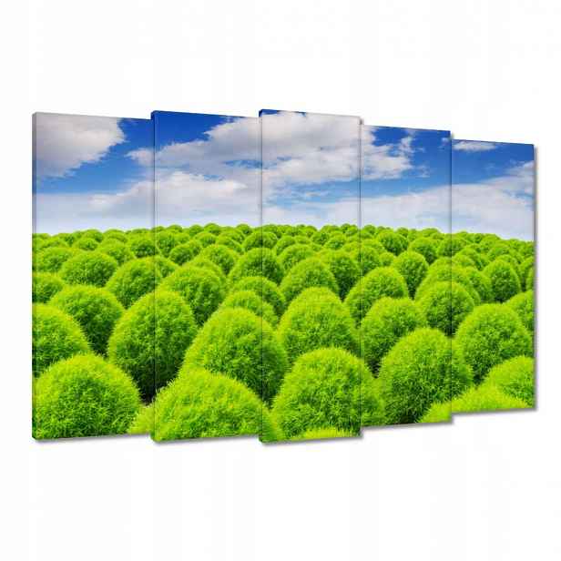 Obrazy 150x95 Zelený pohled Dolina
