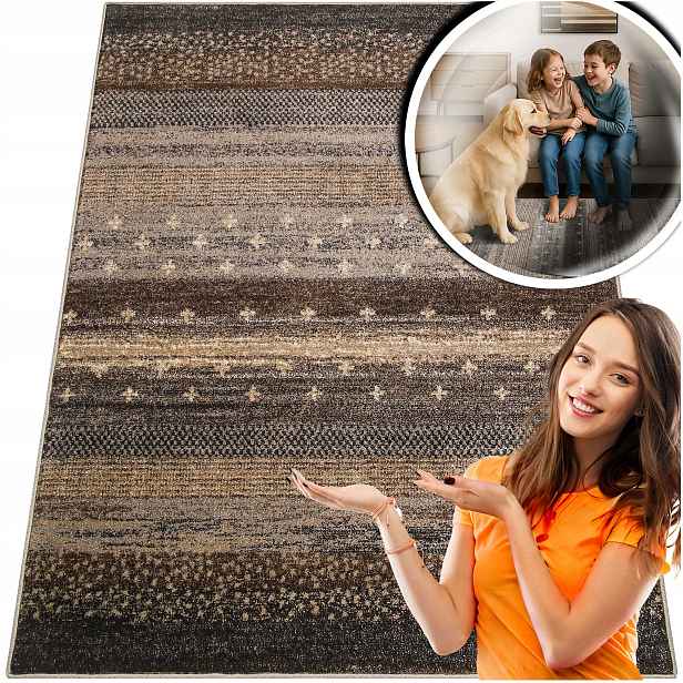Módní Koberce Do Obývacího Pokoje Adventure Fryz Hnědá Krémová Moderní 80x150
