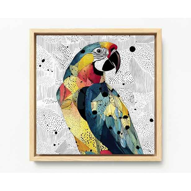 Obraz Rám American Box Grafika Pop Art Koláž Pták Barevný Papoušek 50x50