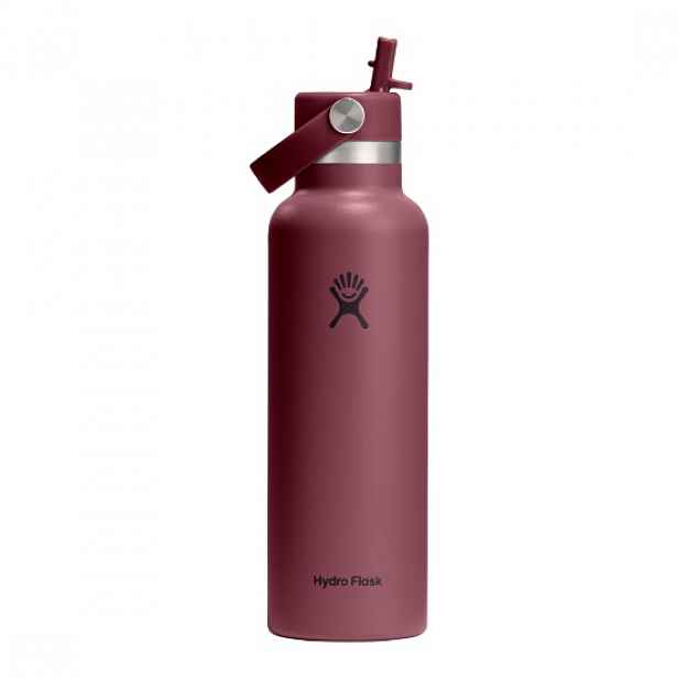 Termoizolační láhev, nerezová ocel, 620 ml, "Standard Straw", Burgundy