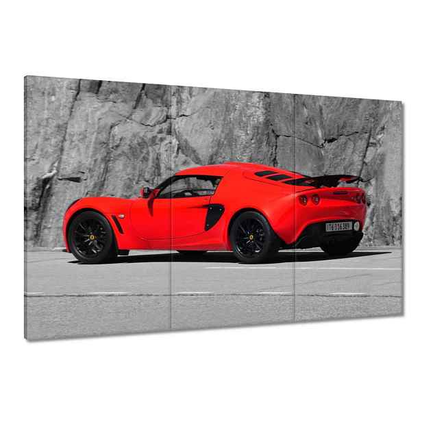 Obrazy 120x80 Červený Lotus