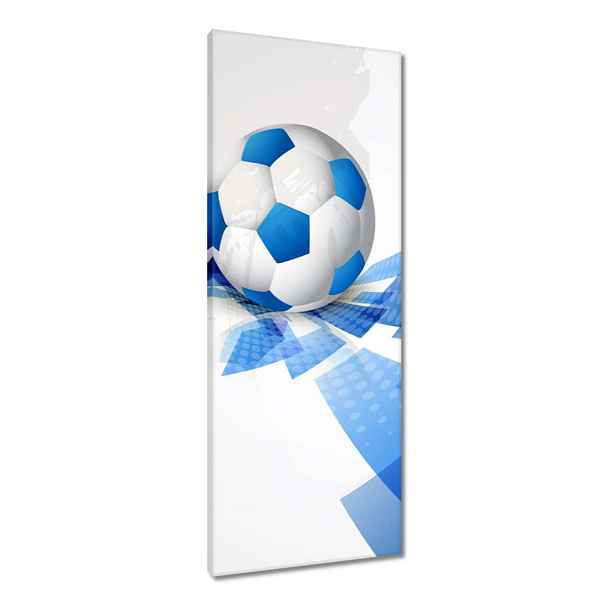 Obrazy 40x100 Modrý fotbal