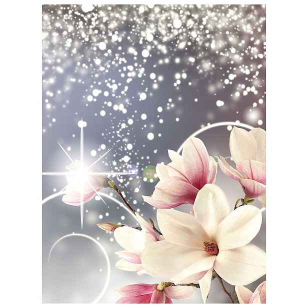 Vliesová fototapeta Magnolie růžové sny, květiny, bokeh 206x275 lepidlo