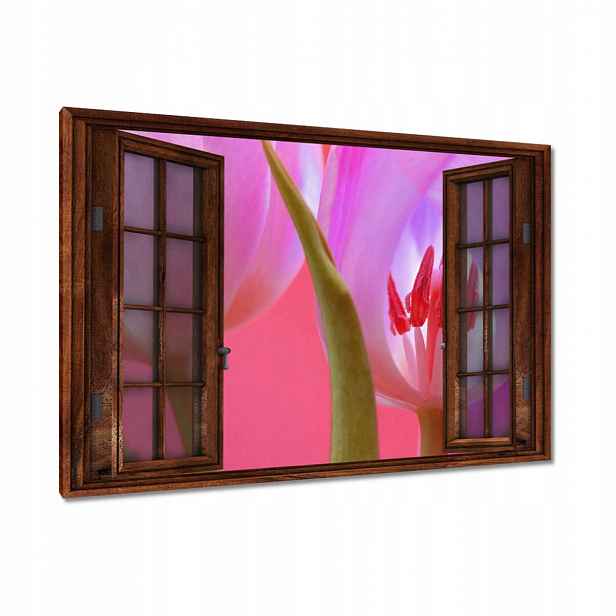 Obrazy 120x80 Růžový tulipán