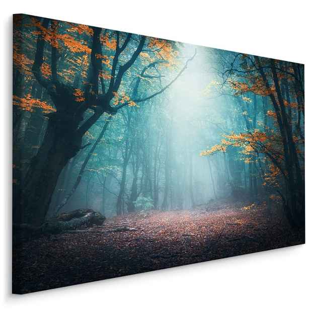 Plátno Mystický 3D Les Varianta: 40x30