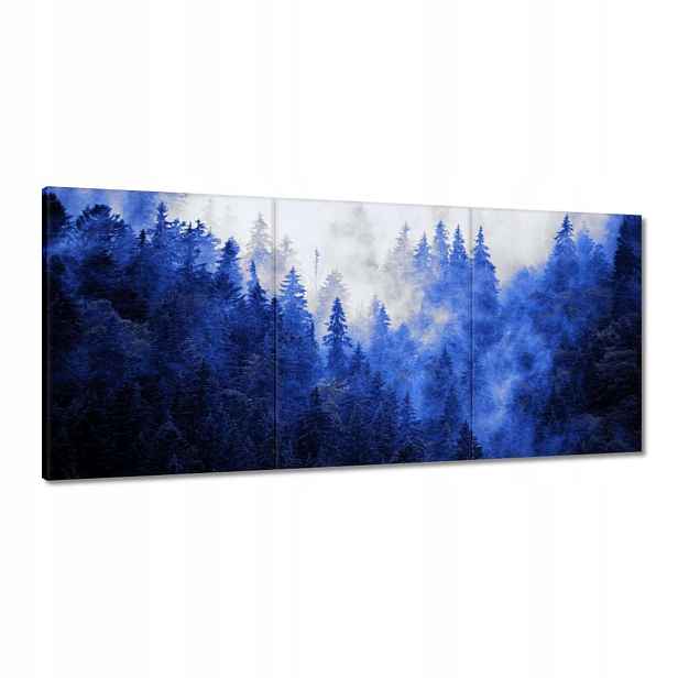 Obrazy 150x70 Modrá krajina Hory