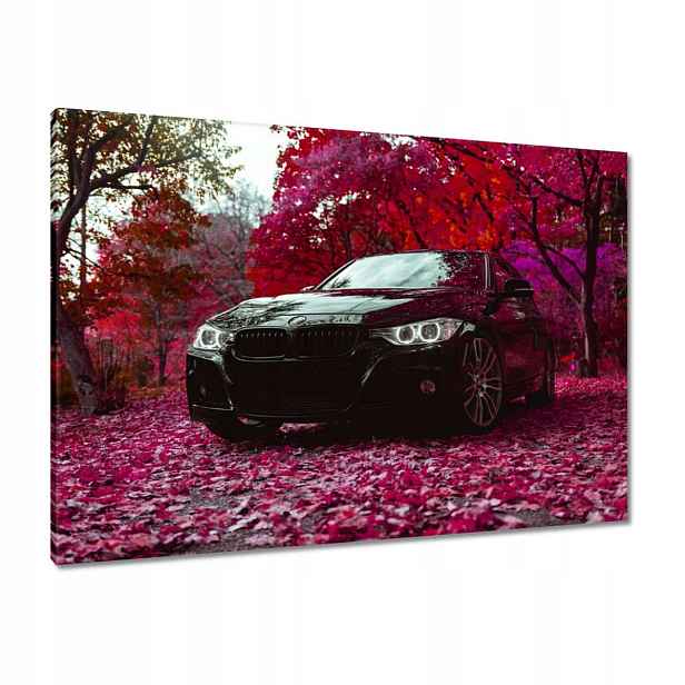 Obrazy 100x70 Černé Bmw Podzim