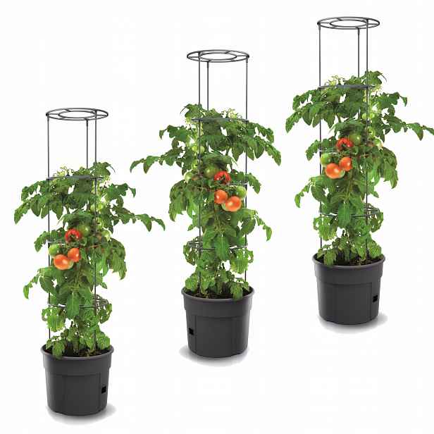 3x Květináč rajčata jahody okurky pěstování zeleniny 29,5 cm