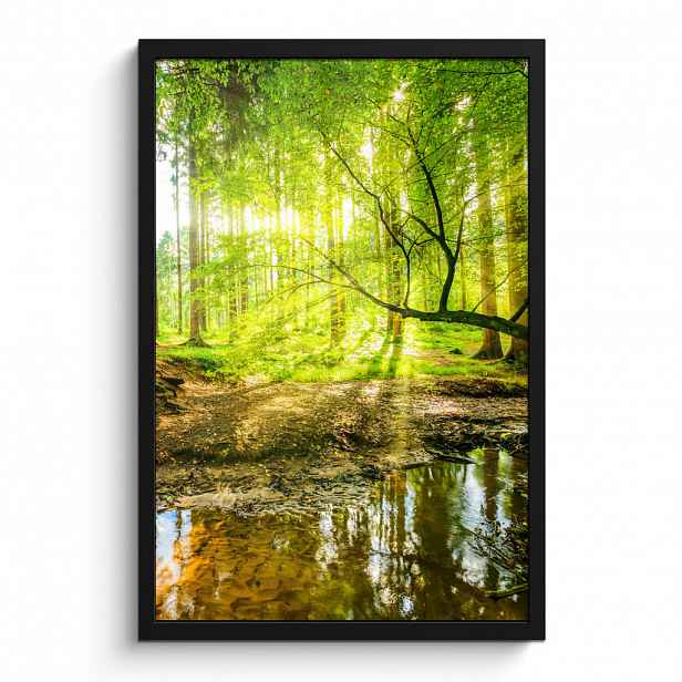 MuchoWow PLAKÁT V RÁMU Les - Krajina - Voda - Stromy - Slunce - Zeleň - Příroda 40x60 cm