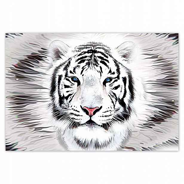 Fototapety flizelina 152x104 Bílý tygr Tiger