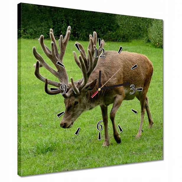 Hodiny 40x40 Jelen Paroháč