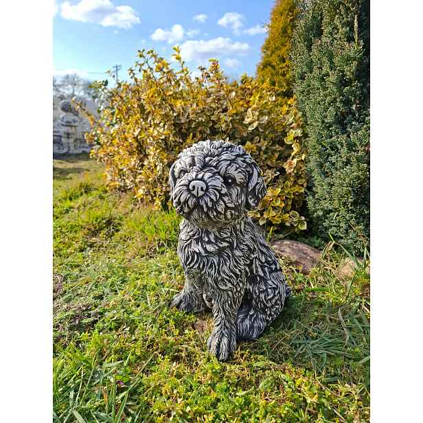 Betonová figurka Pes Shih tzu betonové figurky Pejsek dekorace do zahrady