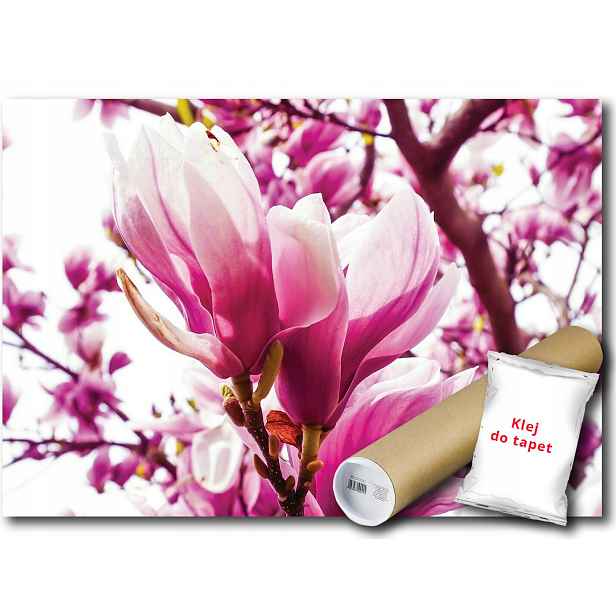 Vinylová fototapeta Magnolie Květy 208x146
