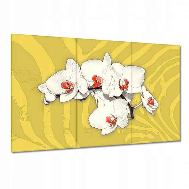 Obrazy 120x80 Orchideje Květiny na žlutém pozadí