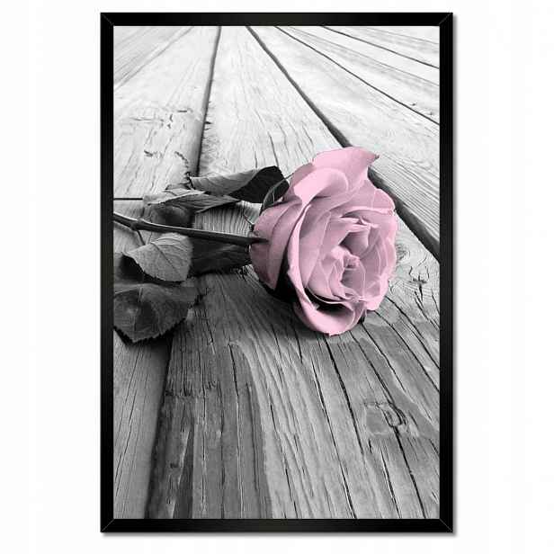 Plakáty v rámu 40x60 Pudrová růžová Old pink Rose