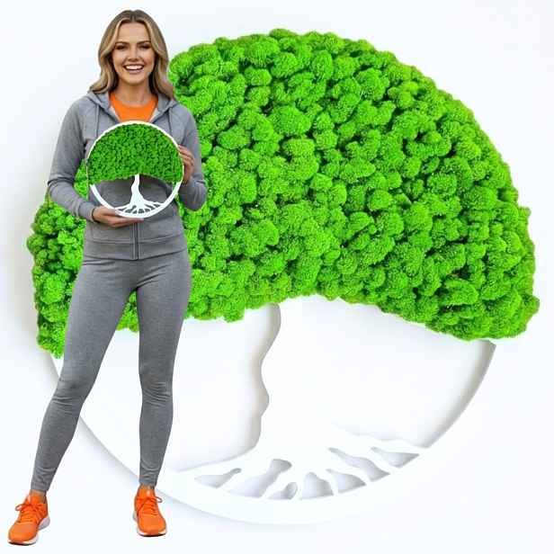 Stromek k zavěšení z mechu chrobotka Bonsai stromek Štěstí dekorace