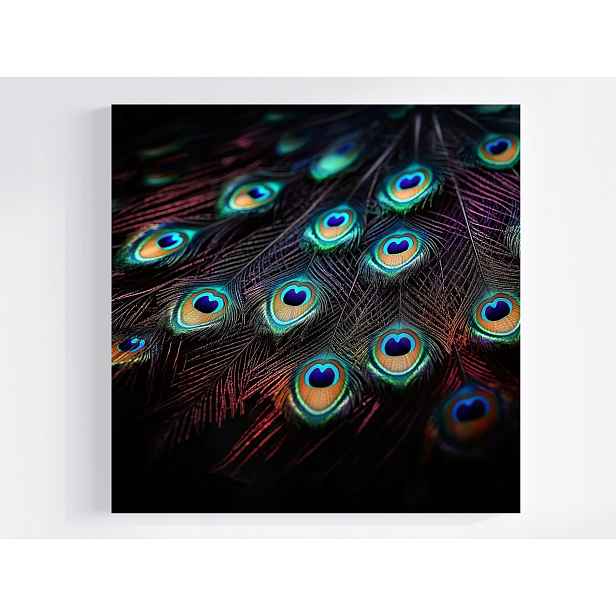 Obraz Na Plátně Plátno Pávi Peří Páv Barevné Oči Příroda Peacock 50x50