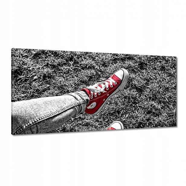Obrazy 120x60 Červené tenisky Boty