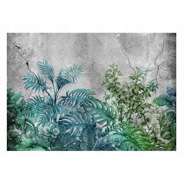 Fototapeta Listy Kapradí Monstera Beton 254x184