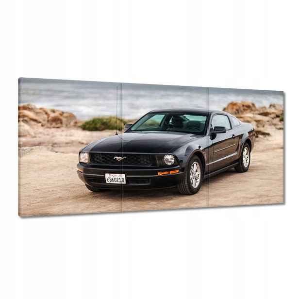 Obrazy 180x90 Černý Ford Mustang