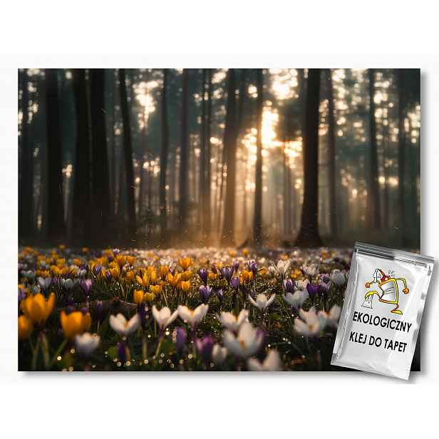 Fototapeta Flizelina Krajina Jaro Les Stromy Květ Krokusy 208x146 130g
