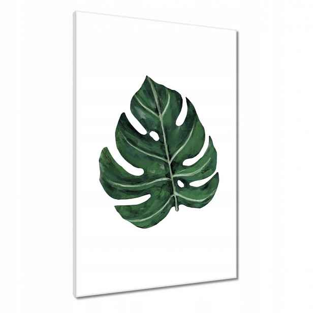 Obrazy 60x90 Monstera Zelený list