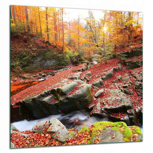 7v1 Skleněná Ochranná Deska Panel Lepidlo 60x65 Krajina