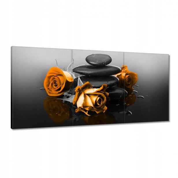Obrazy 120x60 Oranžová růže Spa